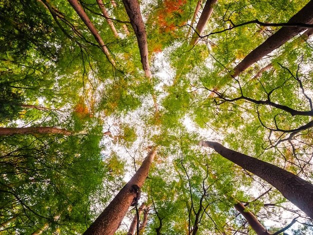 Aggiornamento sullo stato della pianificazione regionale in materiale di rifiuti